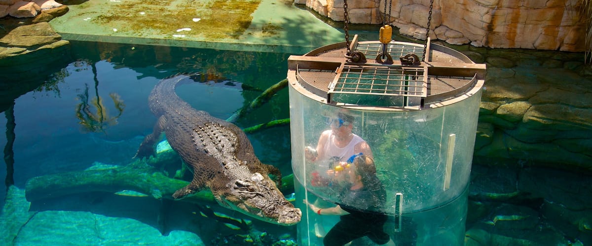 Crocosaurus Cove which includes dangerous animals and zoo animals