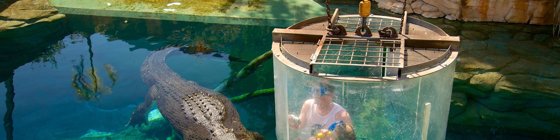 Crocosaurus Cove which includes dangerous animals and zoo animals