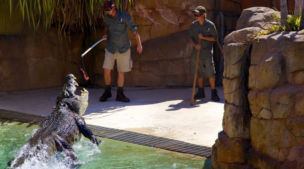 Crocosaurus Cove featuring dangerous animals and zoo animals as well as a small group of people