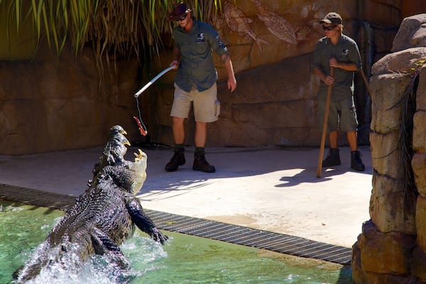 Crocosaurus Cove which includes dangerous animals and zoo animals as well as a small group of people