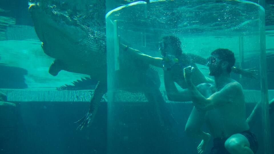 An underwater scene with a diver and a large fish.