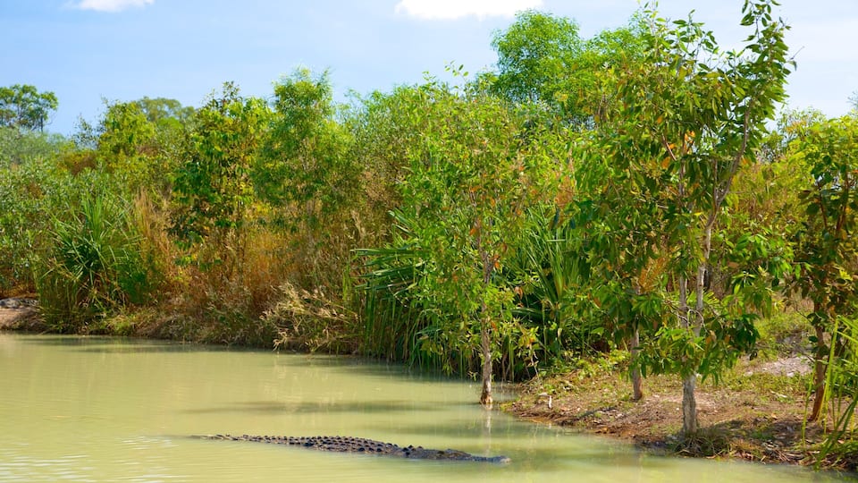 Crocodylus Park