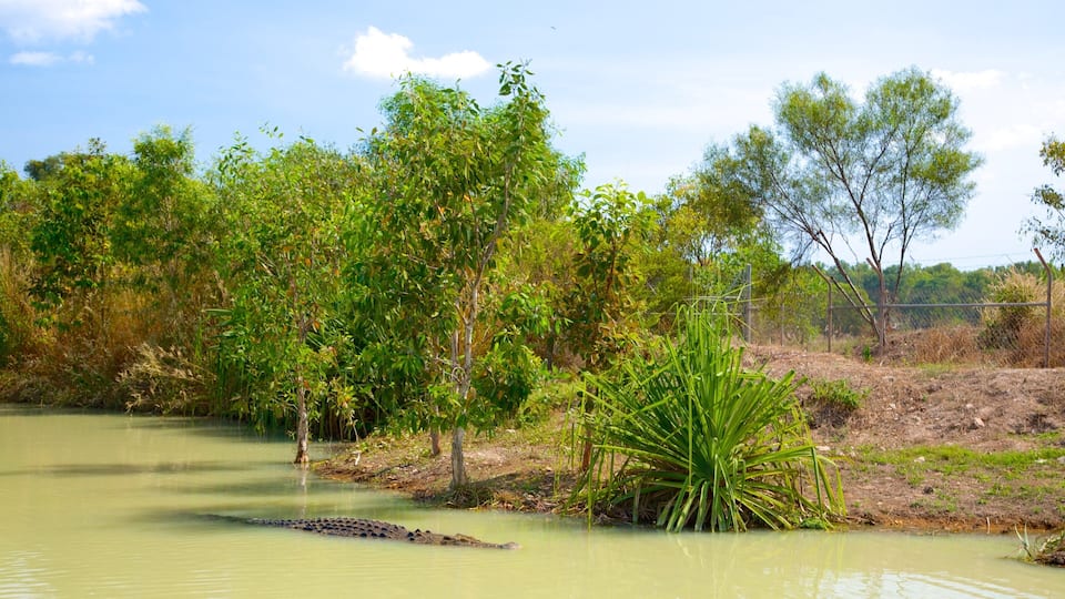 Crocodylus Park