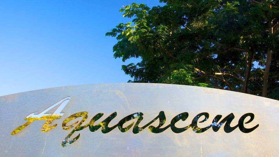 A sign with the word "Aquascene" in cursive script.