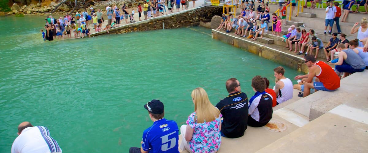 Aquascene which includes general coastal views and marine life as well as a large group of people