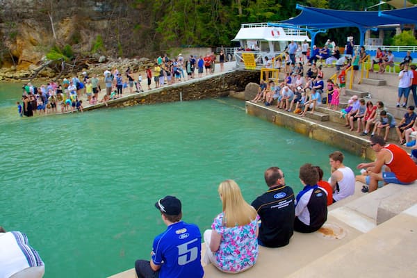 A swimming pool with people around it.