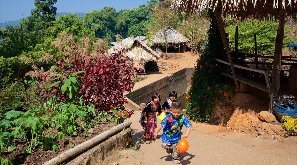 Doi Suthep-Pui National Park showing a garden as well as children