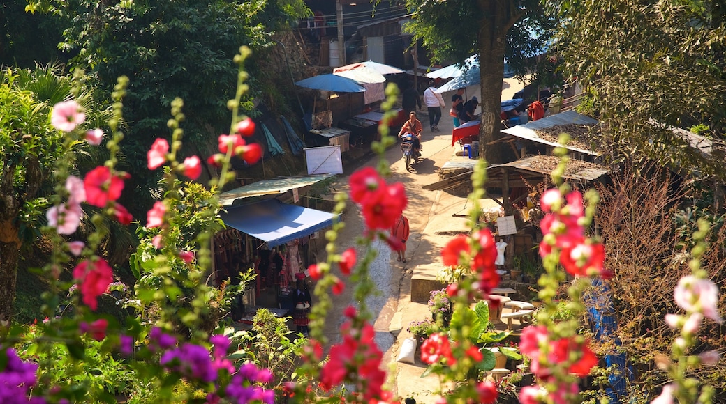 Parque Nacional Doi Suthep-Pui mostrando flores, un jardín y mercados