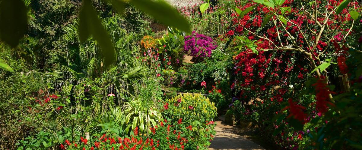Ein Garten mit bunten Blumen und üppigem Grün entlang eines Weges.