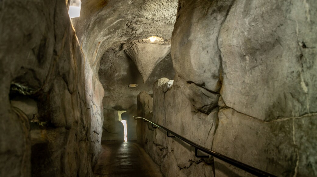 Captain Hook\'s Adventure Golf showing interior views