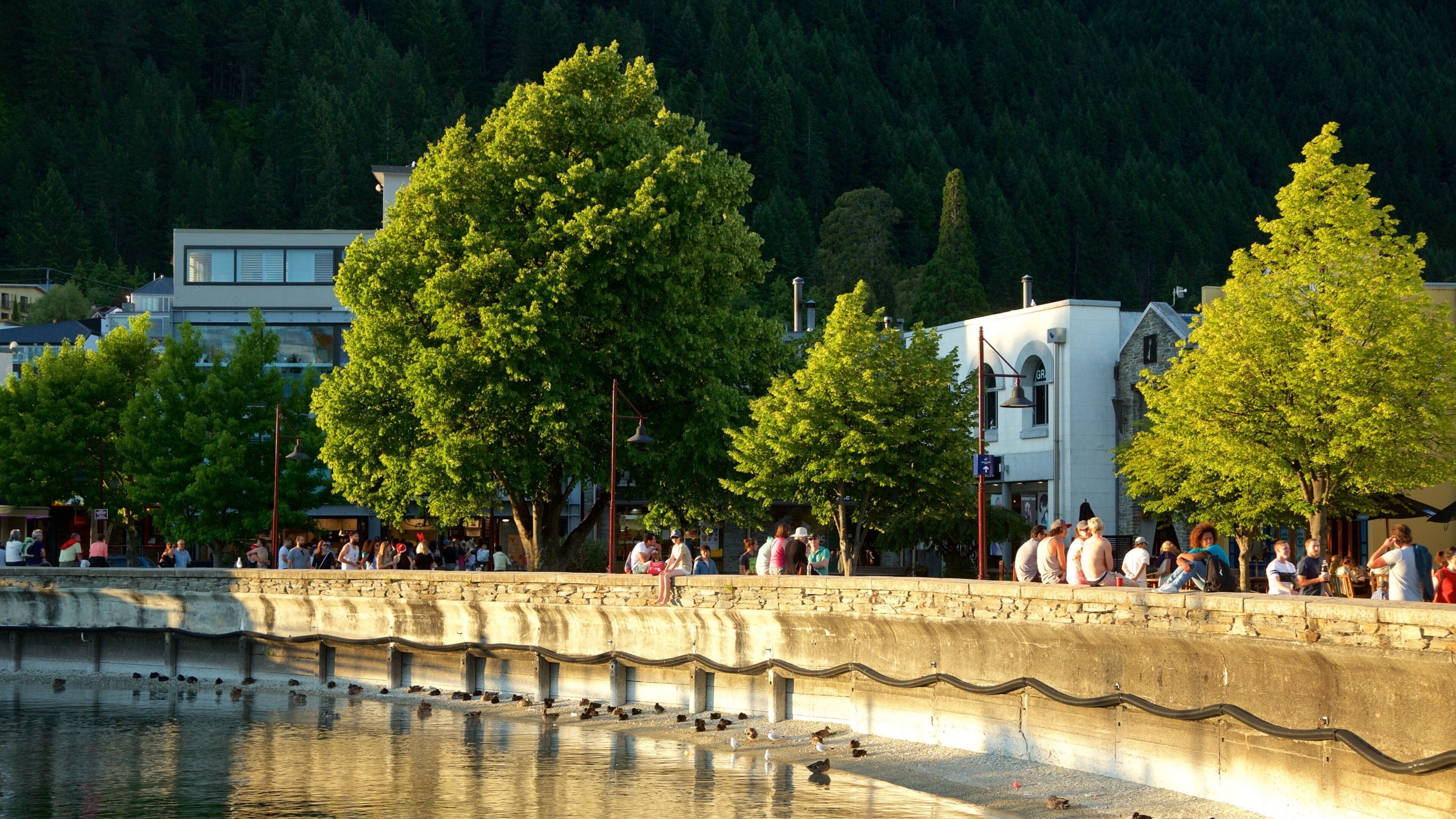 Queenstown City Centre which includes a river or creek