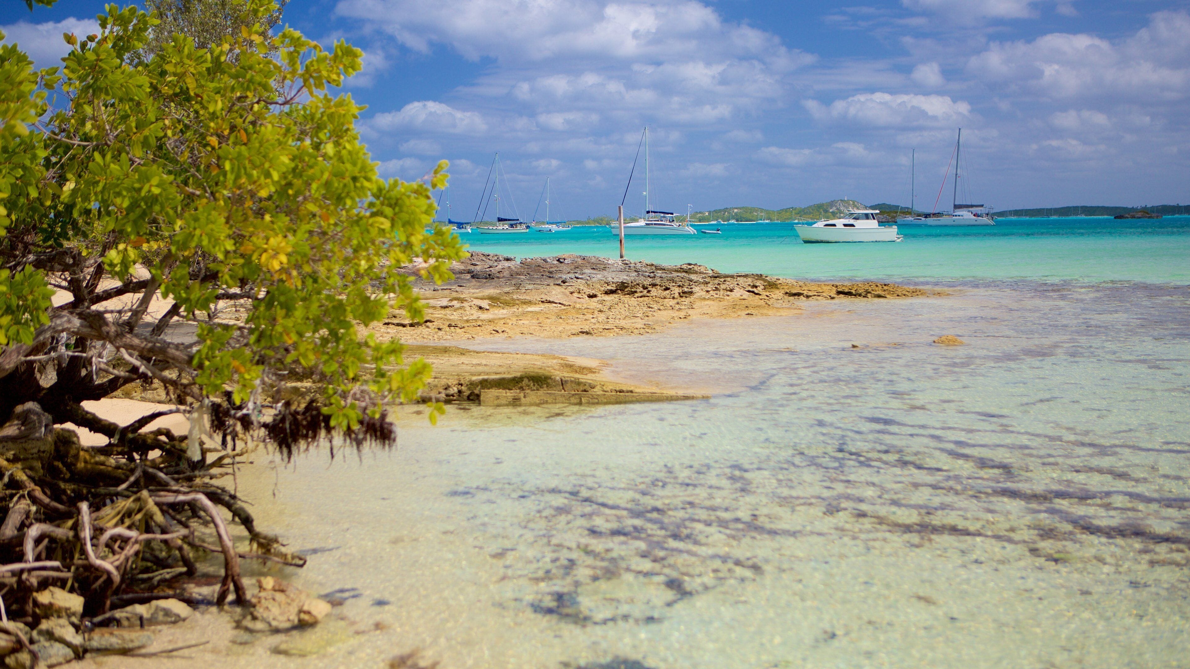 A beach with clear turquoise water, boats, and a tree in the foreground.