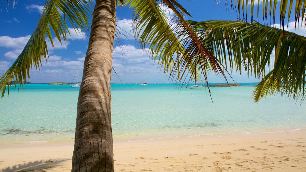Une plage avec une eau turquoise et limpide, un palmier et des bateaux à l’horizon.