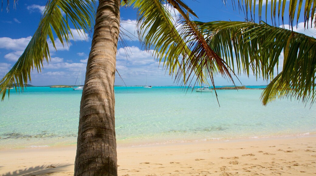 Palm Bay Beach featuring a beach and tropical scenes