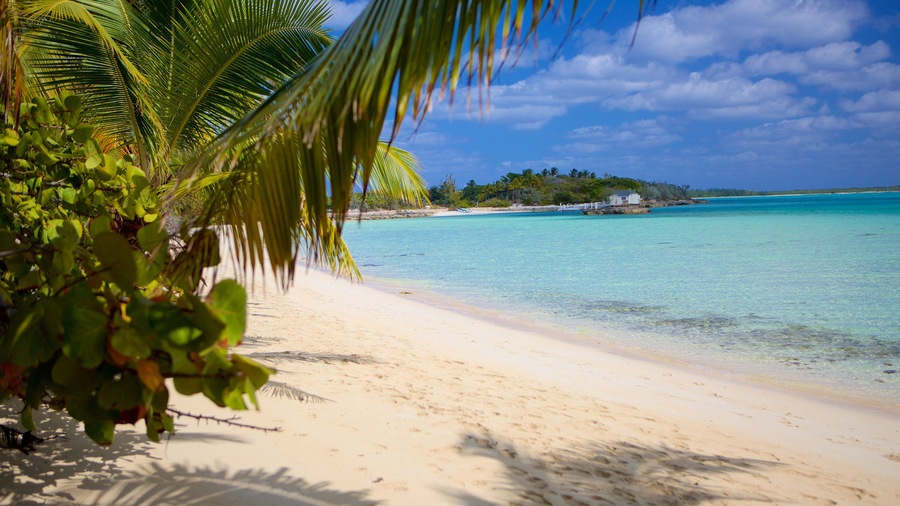 Palm Bay Beach featuring a beach and tropical scenes