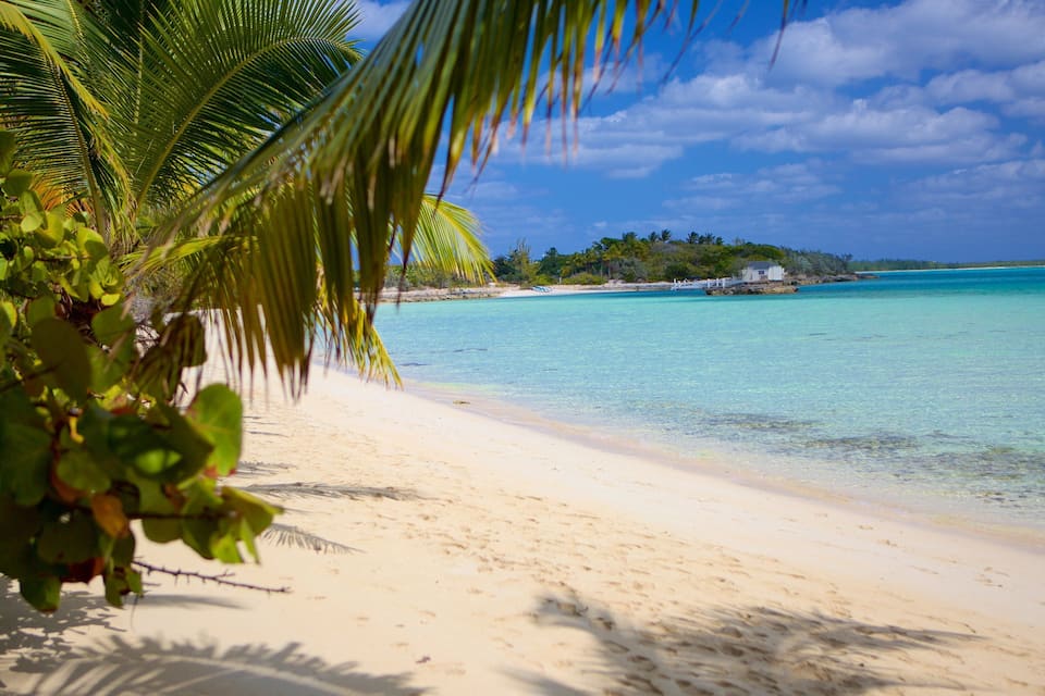 Een strand met helder turquoise water, wit zand en palmbomen.