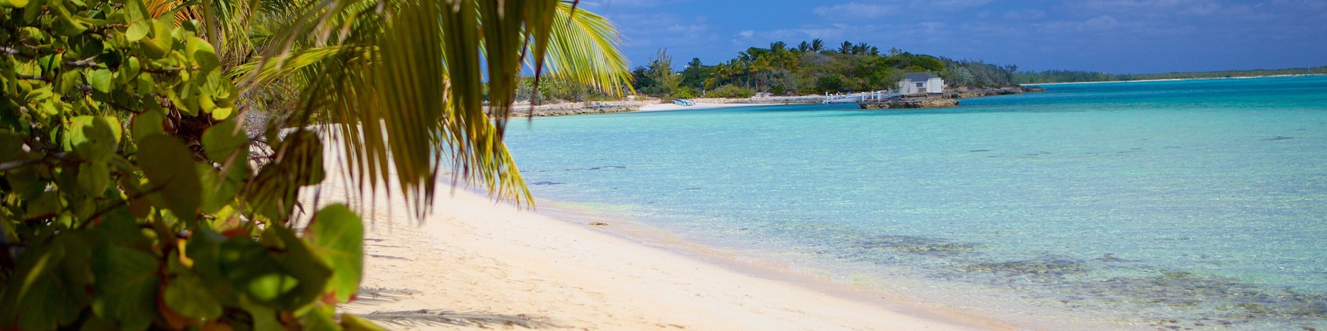 Palm Bay Beach featuring a beach and tropical scenes
