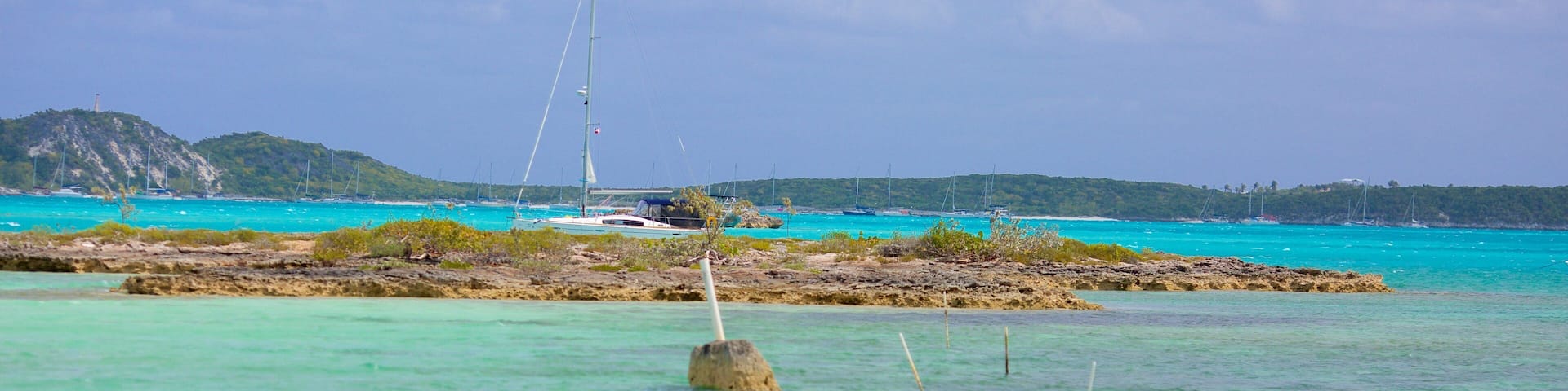 パーム ベイ ビーチ フィーチャー 湾岸あるいはハーバー