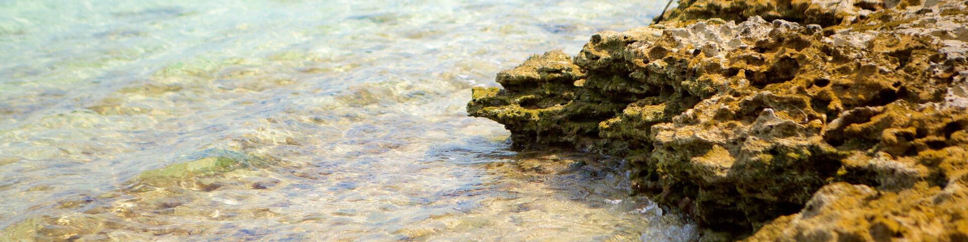 Palm Bay Beach which includes general coastal views