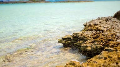 Palm Bay Beach which includes general coastal views