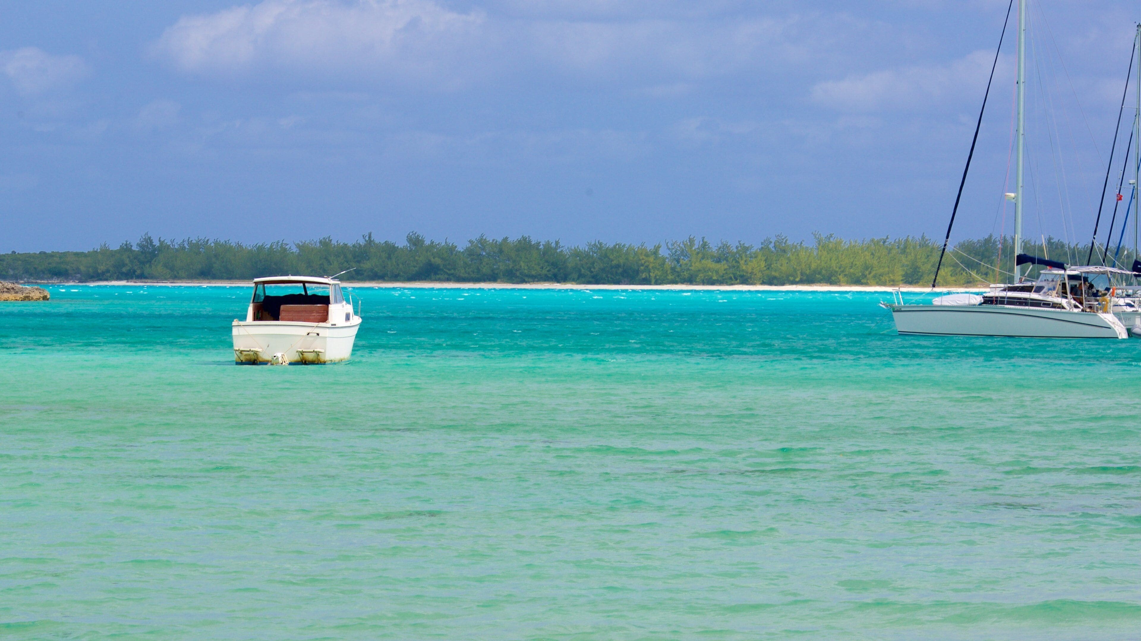 Palm Bay Beach which includes a bay or harbor