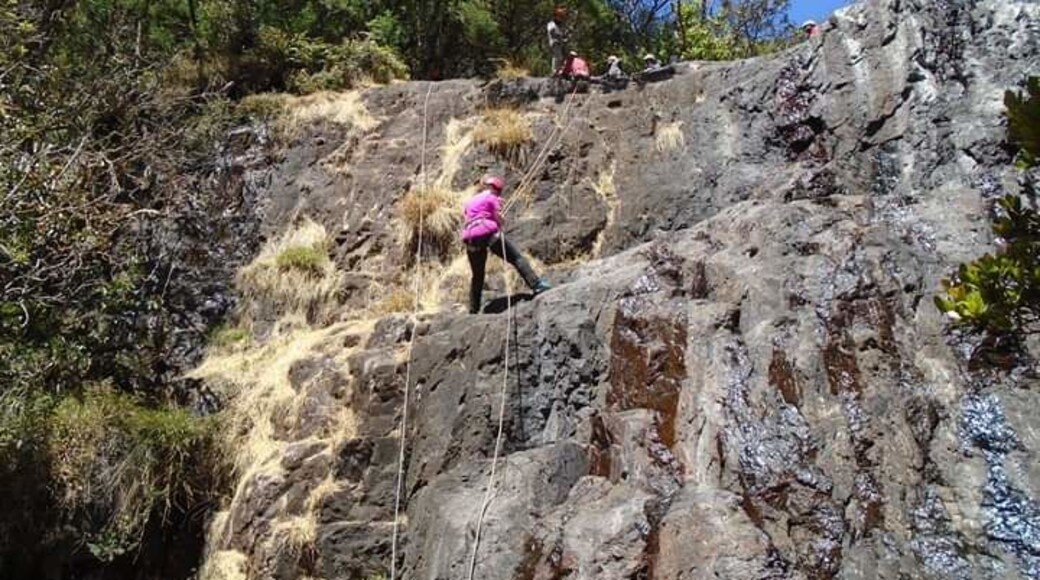 #Adventure
#afraidofheights
#staffretreat
At 42 I quit my full time job and the comforts of home (in Pennsylvania) to work as a volunteer at an anti-trafficking NGO in Chennai, India. Had no idea that would mean a staff retreat into the jungle where I'd repel down a 60 foot rock...and i hate heights!