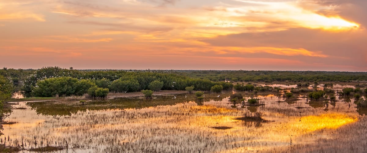 A sunset over a wetland with scattered trees and a distant city skyline.
