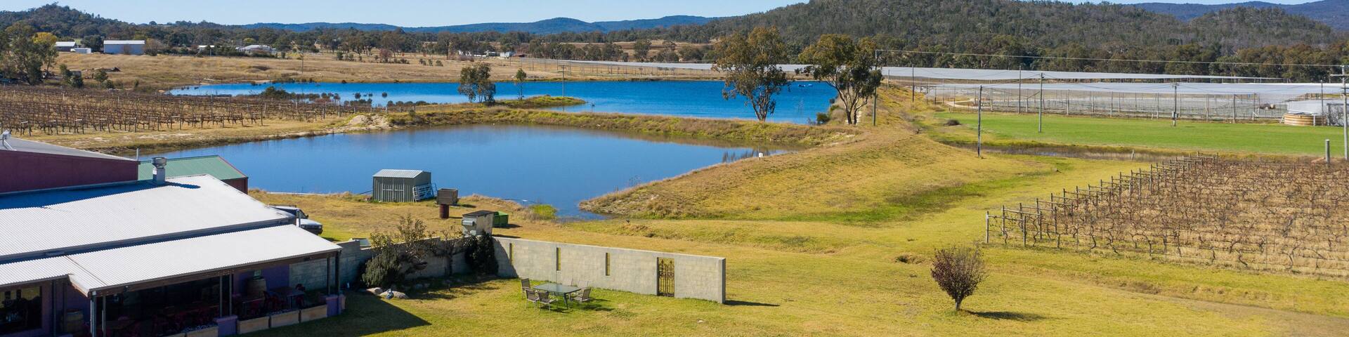 A vineyard with a pond, a building, and a hilly landscape in the background.