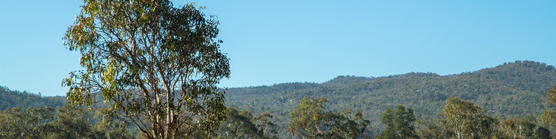 Glen Aplin featuring landscape views and tranquil scenes