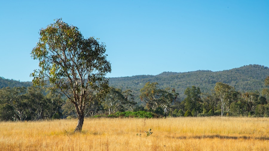 Glen Aplin featuring landscape views and tranquil scenes