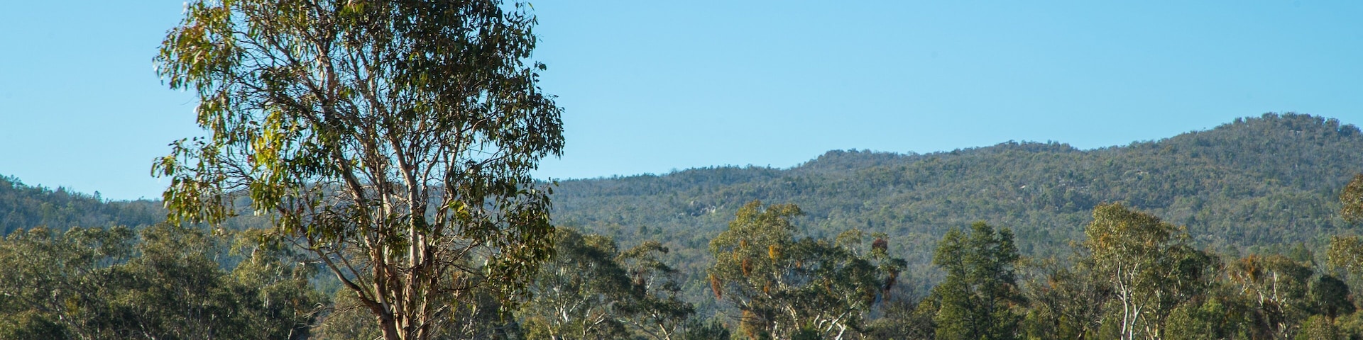 Glen Aplin featuring landscape views and tranquil scenes