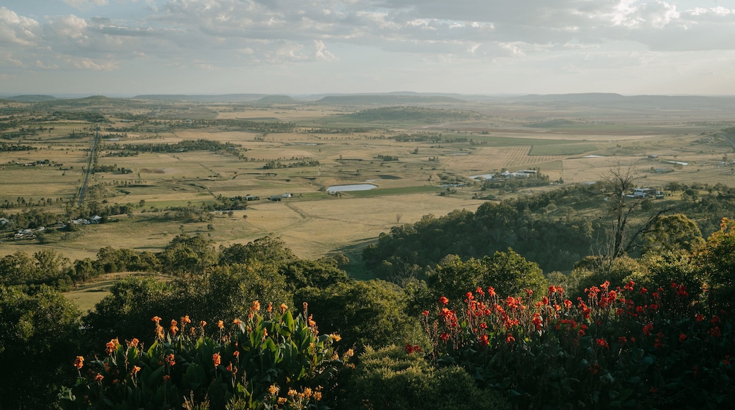 Preston featuring landscape views, wildflowers and tranquil scenes