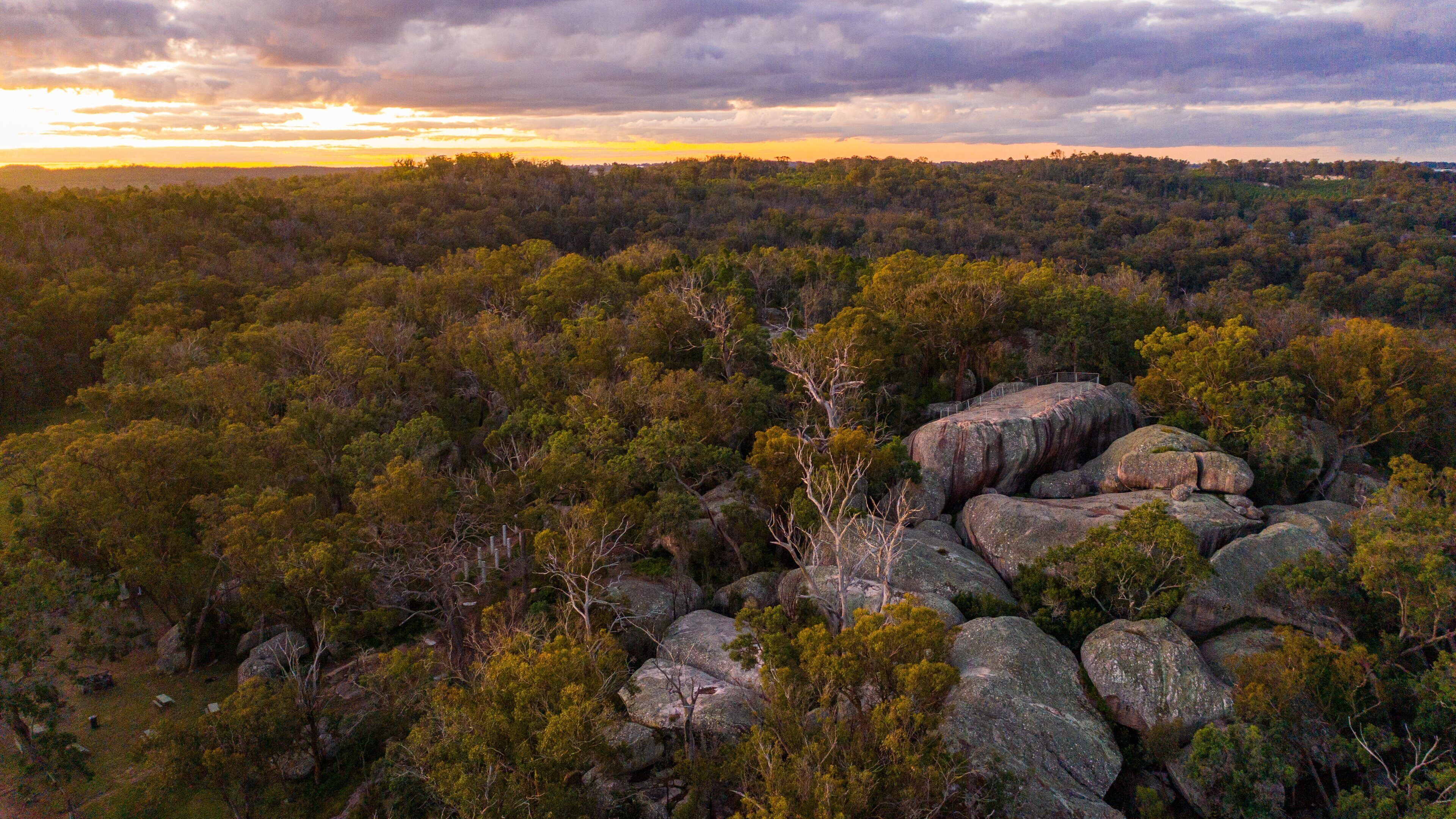 A dense forest with large boulders and a sunset in the background.