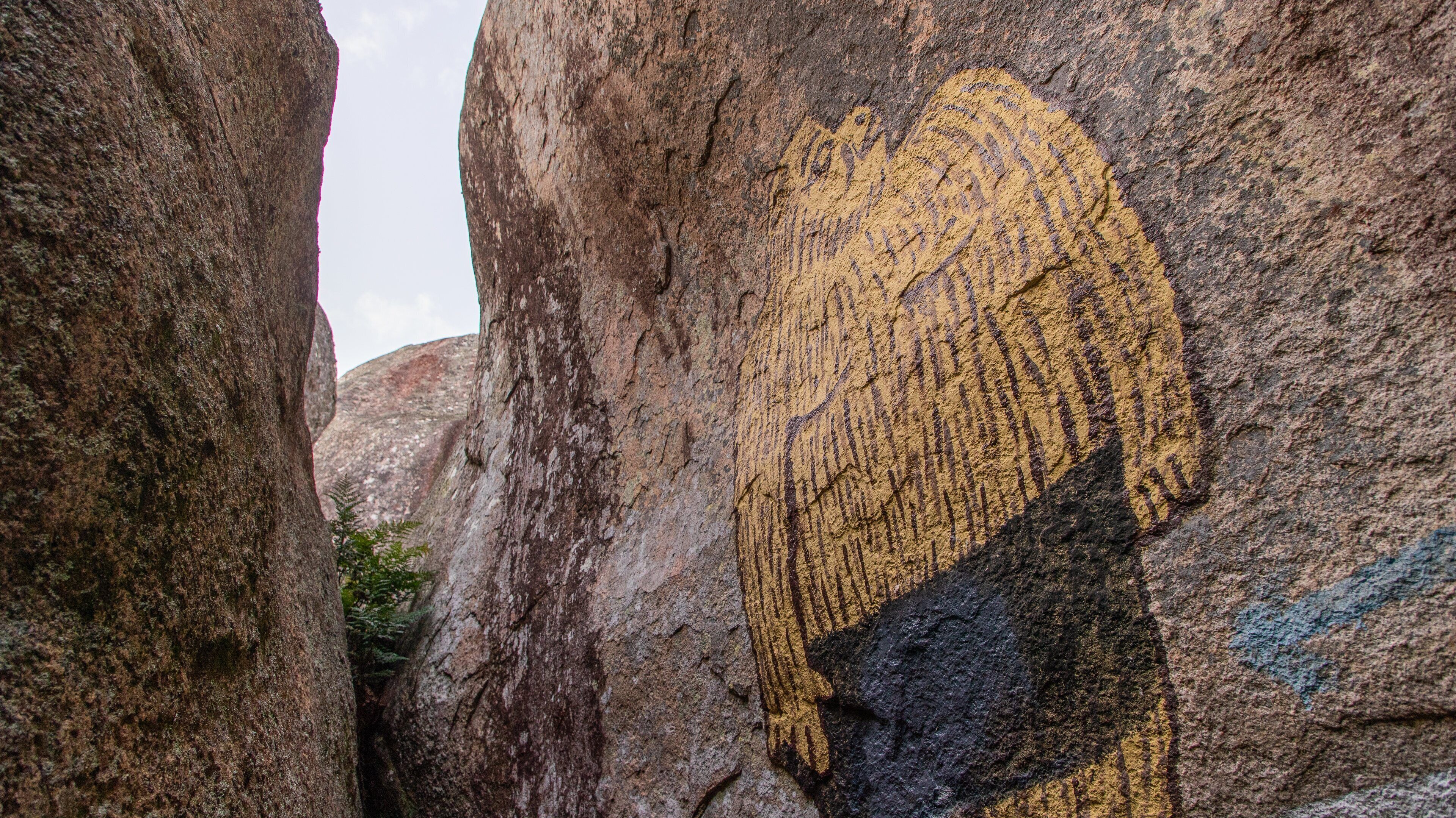 St Maarten and St Martin showing outdoor art
