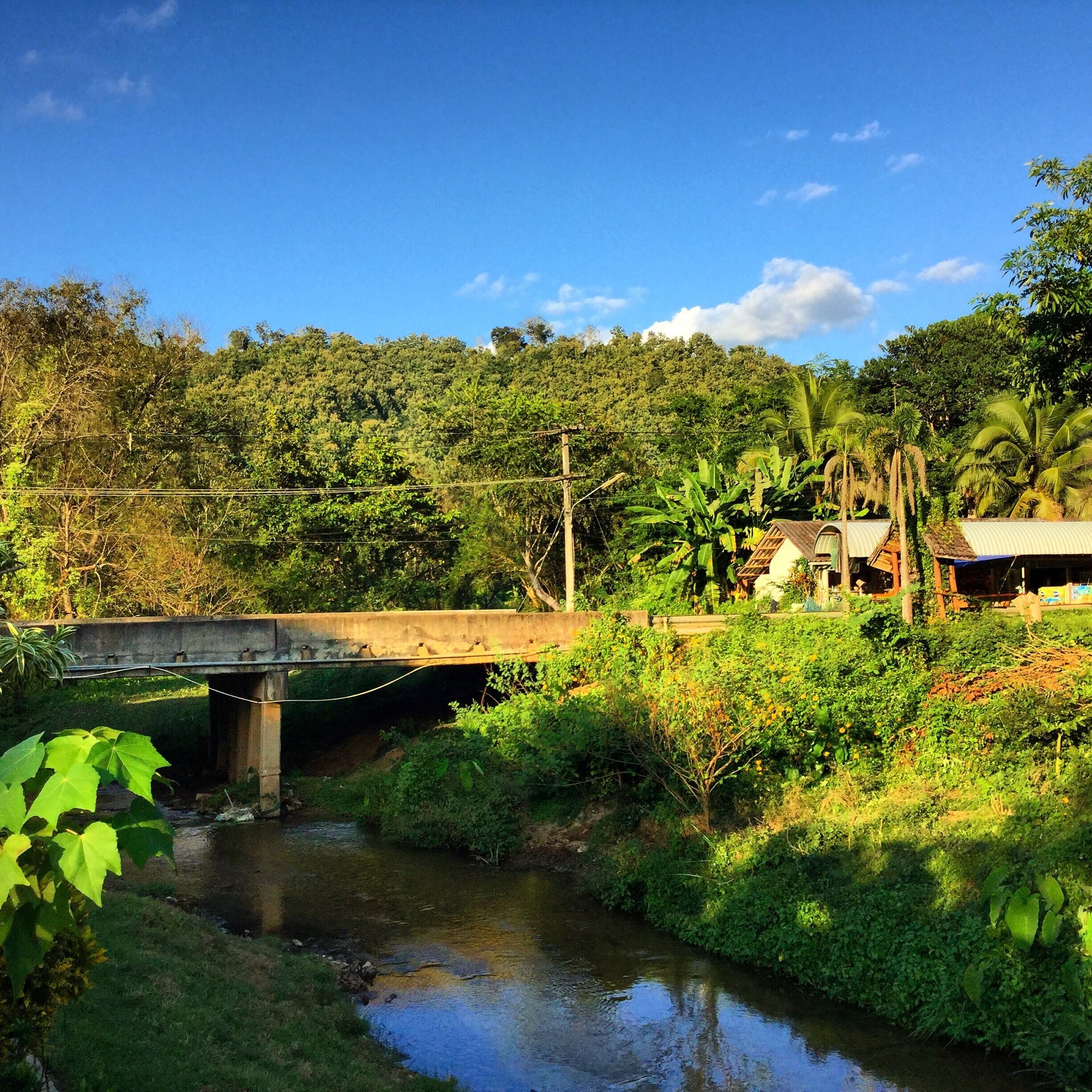 This was taken on the way to a hot spring in Chiang Rai