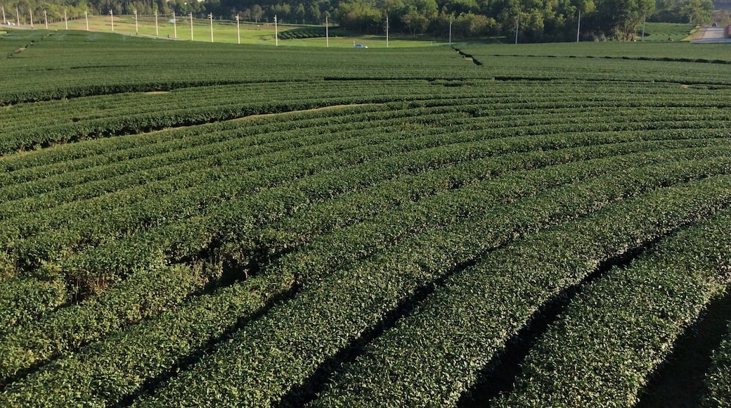 Stunning view and good rest stop for tea and smoothies.