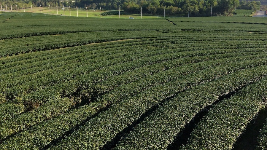 Stunning view and good rest stop for tea and smoothies.