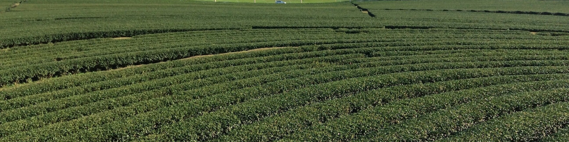 Stunning view and good rest stop for tea and smoothies.