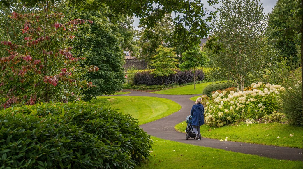 Brooke Park showing wildflowers and a garden as well as an individual femail