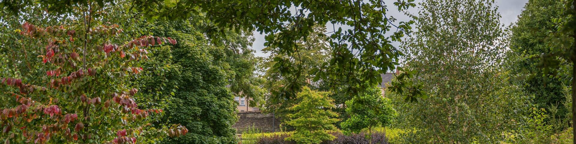 Brooke Park showing wildflowers and a garden as well as an individual femail
