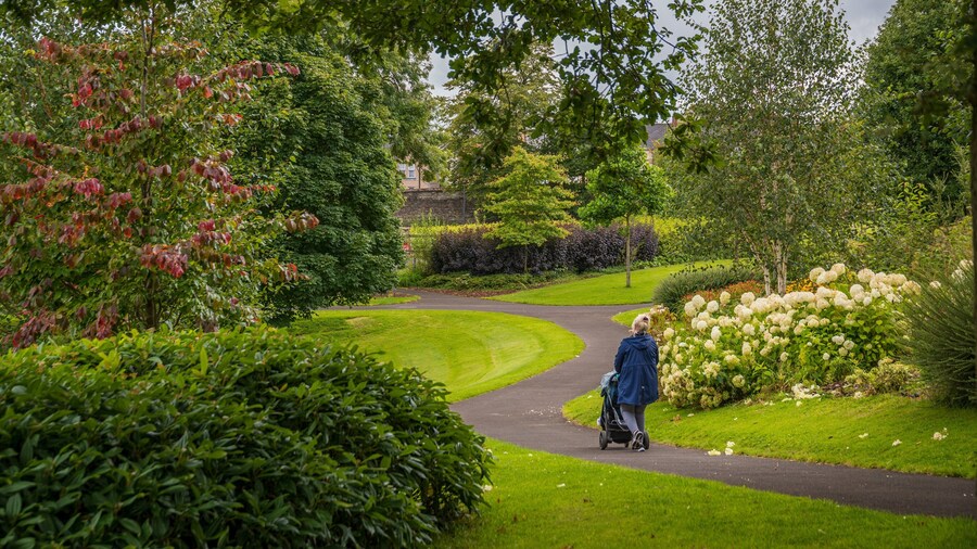 Brooke Park showing wildflowers and a garden as well as an individual femail