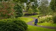 A park with a winding path, lush greenery, and flowering bushes.