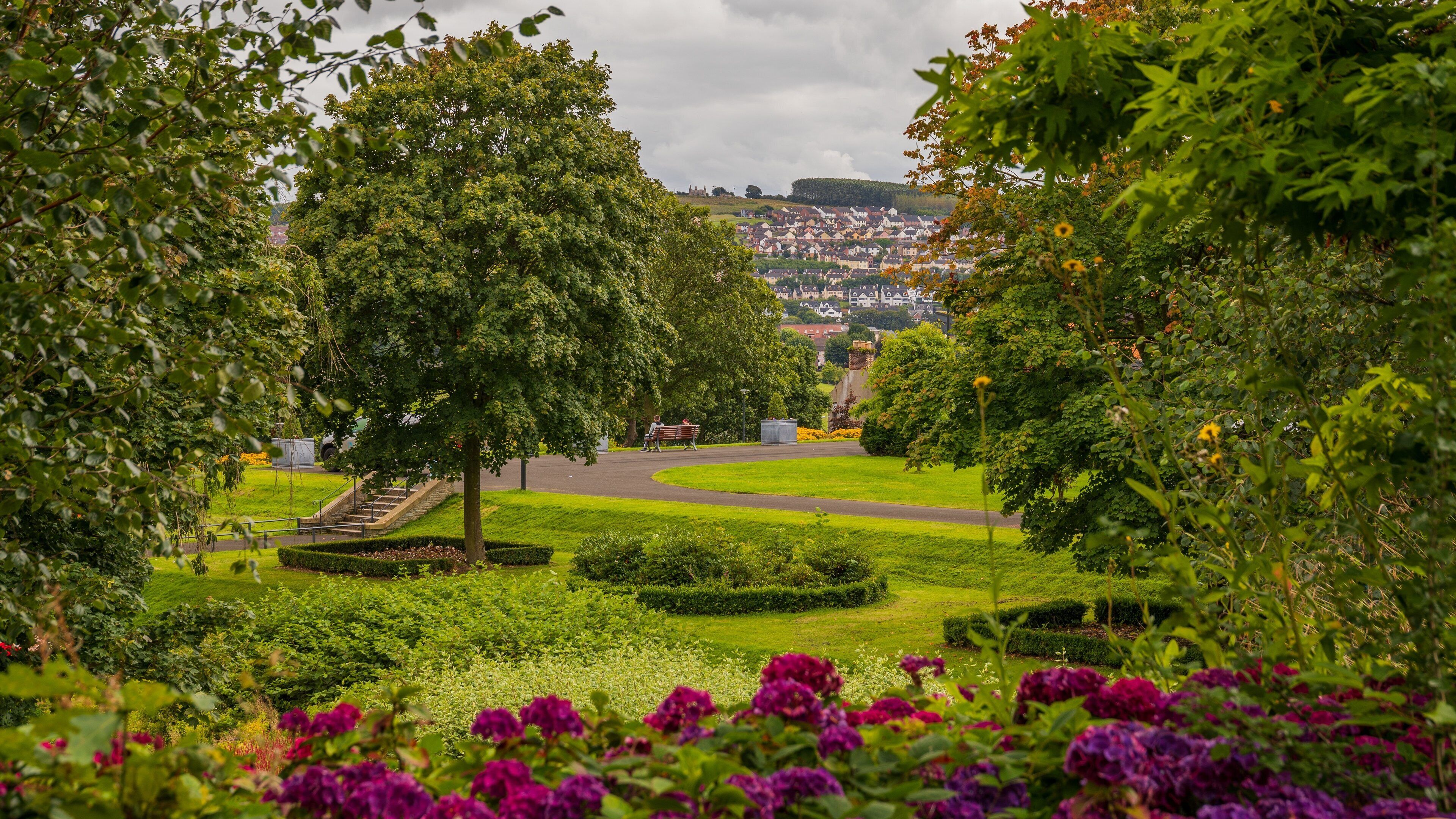 Brooke Park which includes flowers and a garden