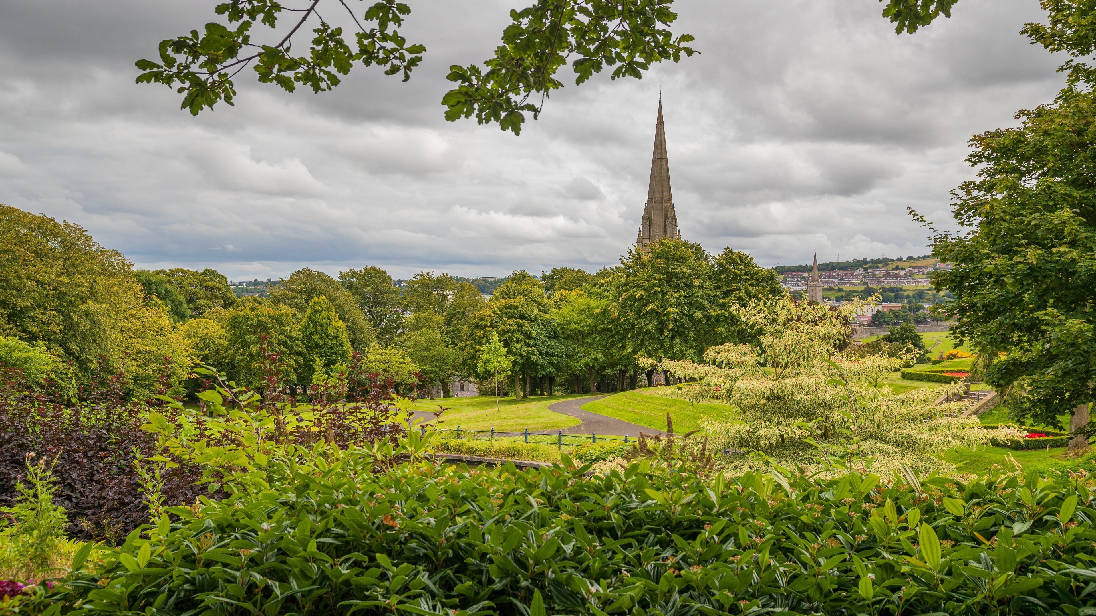 Brooke Park showing a garden