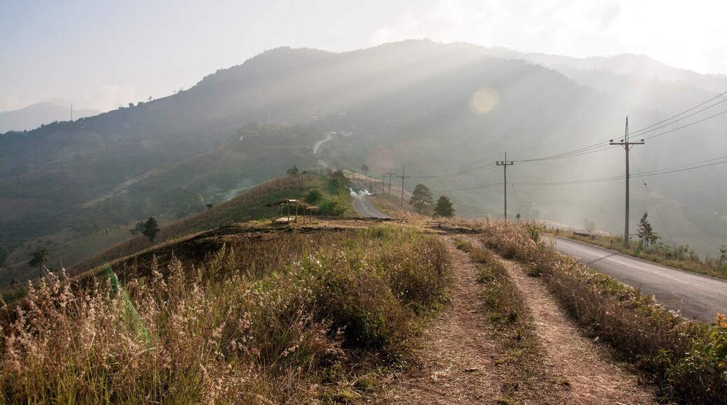 #FarawayFriday comes from somewhere so far away, even I’m not totally sure where it is! I know it’s somewhere between Chiang Rai and Phu Chi Fa - a viewpoint on the Thai-Lao border. I think it might be somewhere near Tap Tao, #Thailand 🇹🇭. It doesn’t really matter, though. The destination never does - it’s the #journey that counts!
#LifeAtExpedia
