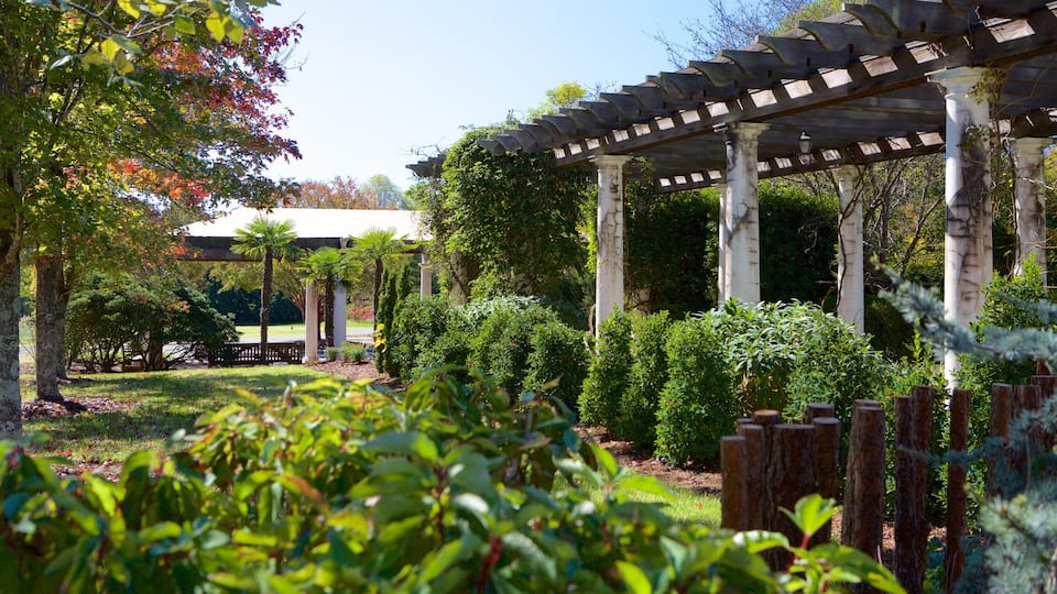 A garden with a wooden pergola, trees, and well-maintained shrubs.