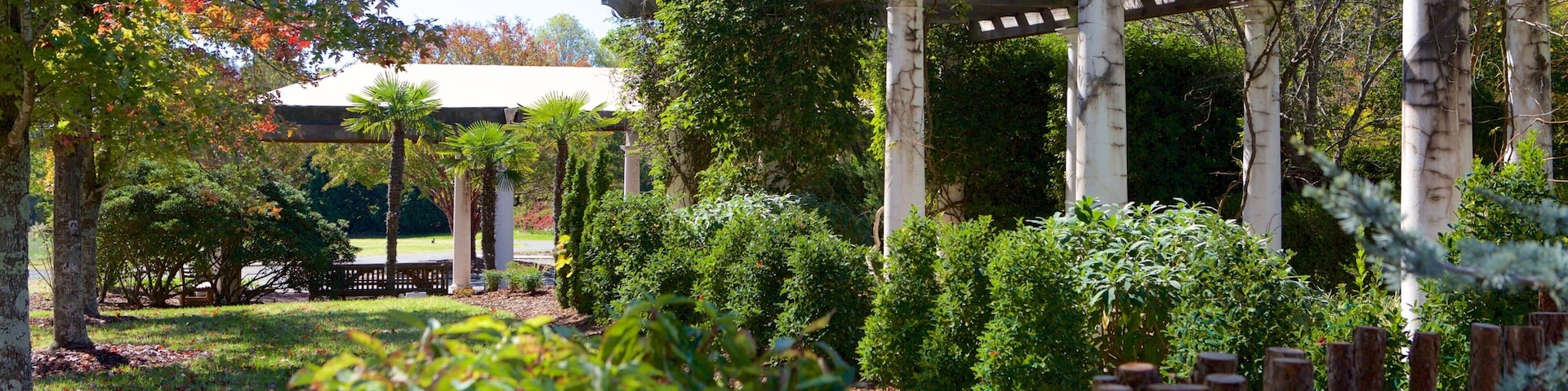 Jardim Botânico Daniel Stowe mostrando um jardim