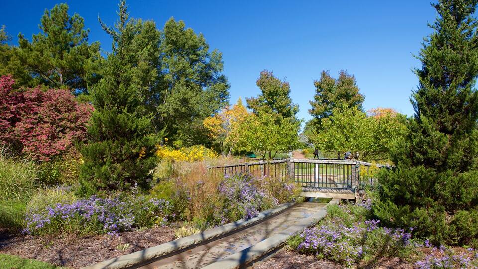 A wooden bridge over a stone path surrounded by diverse vegetation and trees.