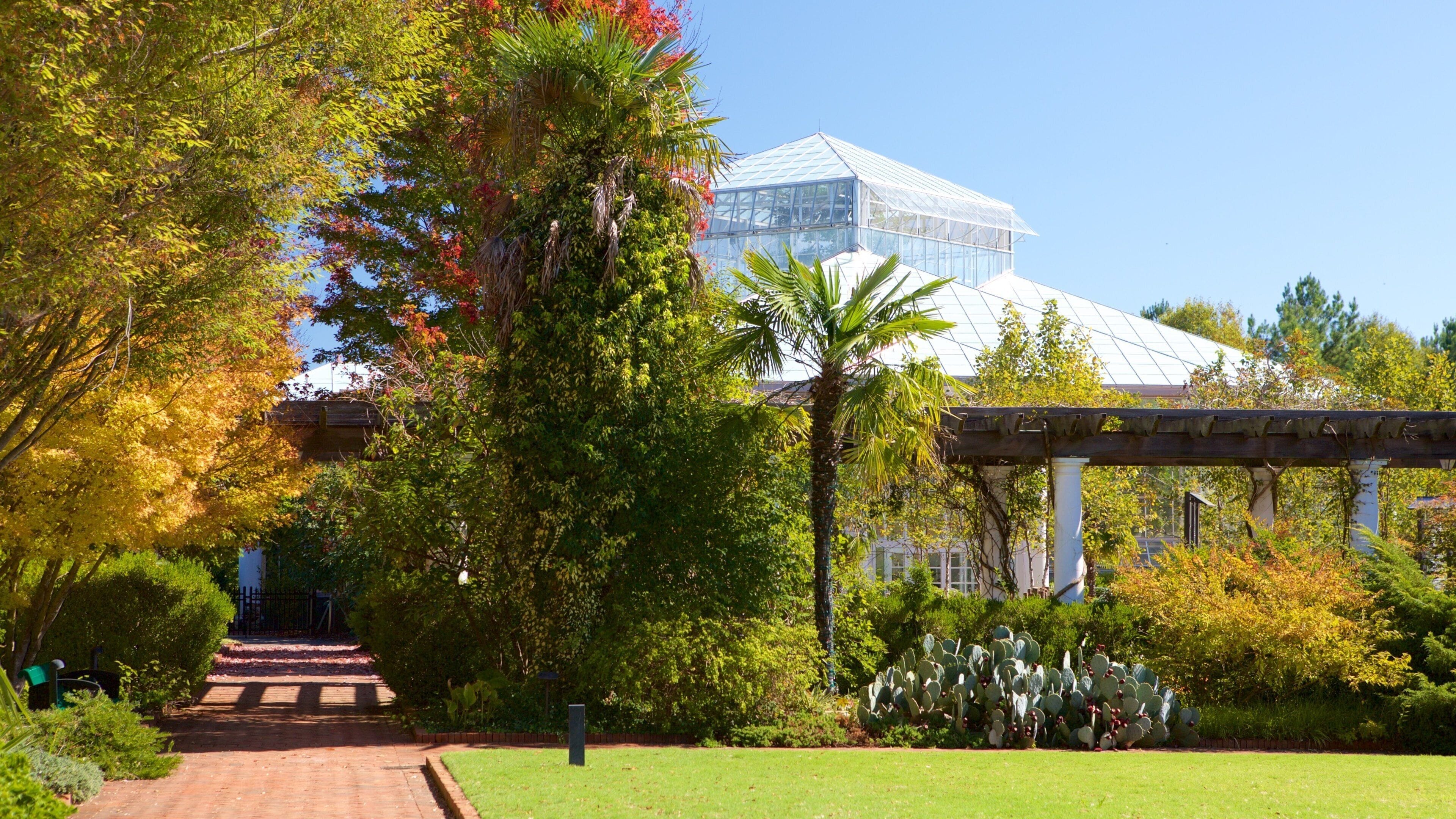 A garden pathway leading to a greenhouse with a glass roof, surrounded by various trees and cacti.