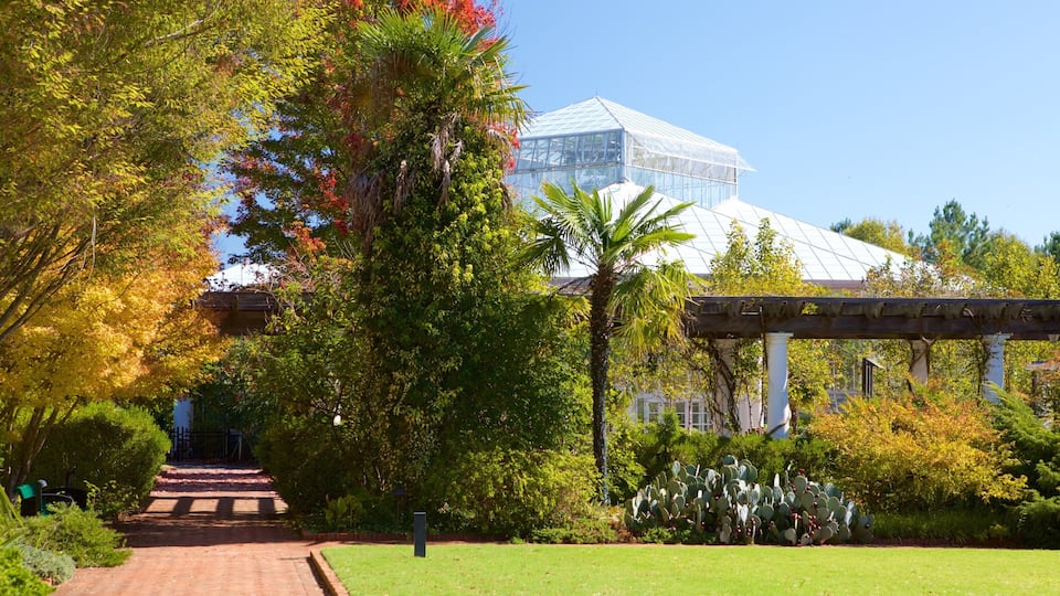 A garden pathway leading to a greenhouse with a glass roof, surrounded by various trees and cacti.